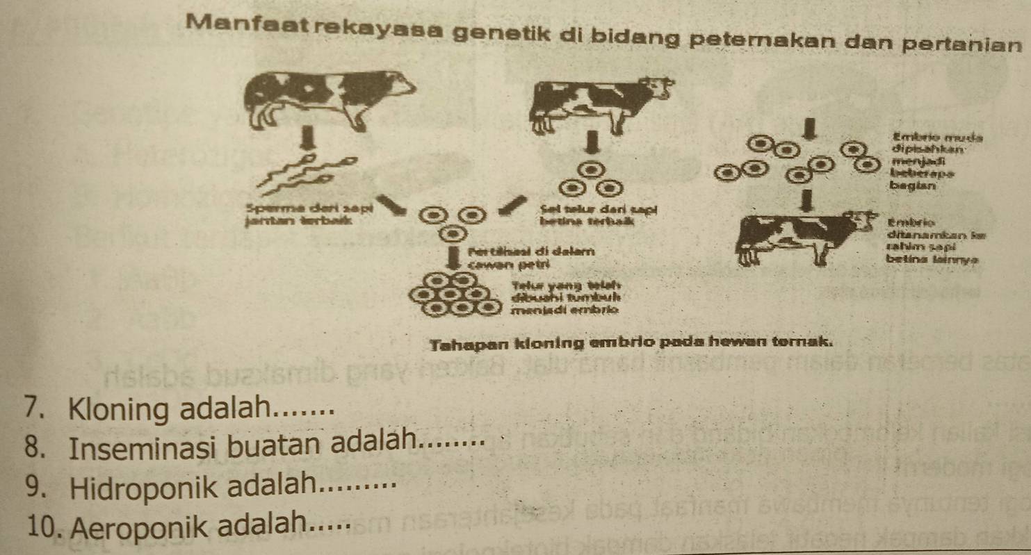 Manfaat rekayasa genetik di bidang peternakan dan pertanian 
Embrio muda 
dipisahkan 
menjadi 
beberaps 
a a 
begian 
Sperma deri sapi Sel telur dan sap! 
jartan terbaík betina terhašk Embrio 
ditanamkan ke 
rahim sapi 
Por têisaal di dalam betina lainnya 
cawan petr 
Tele yang telsh 
dibushi tumbuh 
meniadi embrio 
Tahapan kloning embrio pada hewan tornak. 
7. Kloning adalah_ 
8. Inseminasi buatan adalah_ 
9. Hidroponik adalah_ 
10. Aeroponik adalah_