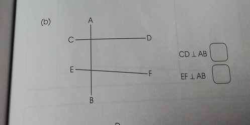 CD⊥ AB
EF⊥ AB