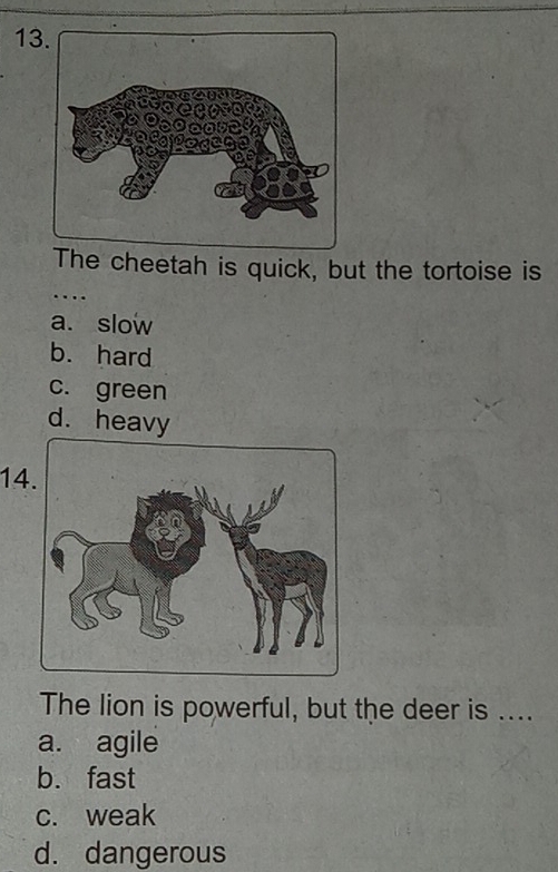 The cheetah is quick, but the tortoise is
…
a. slow
b. hard
c. green
d. heavy
14
The lion is powerful, but the deer is ....
a. agile
b. fast
c. weak
d. dangerous