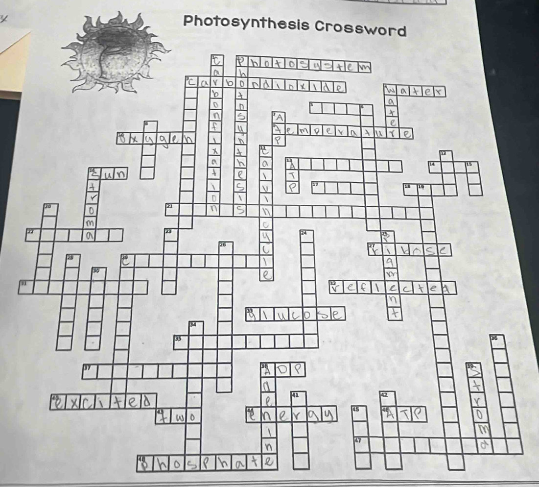 Photosynthesis Crosswo