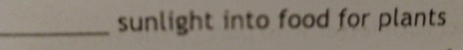 sunlight into food for plants