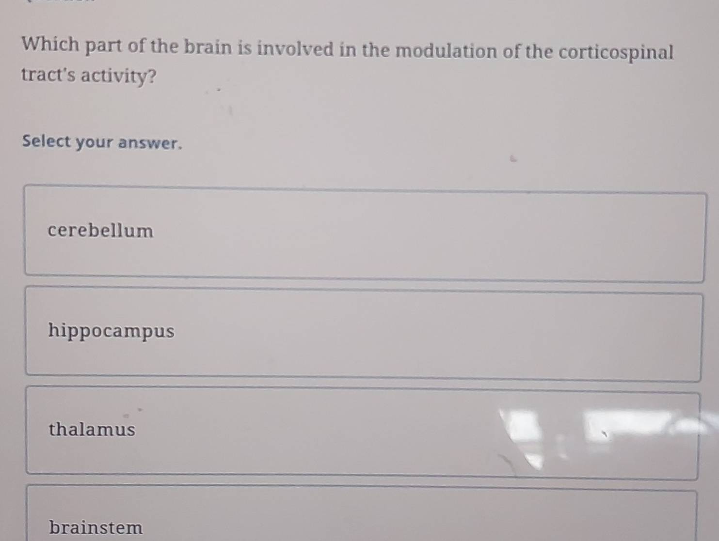 Which part of the brain is involved in the modulation of the corticospinal
tract's activity?
Select your answer.
cerebellum
hippocampus
thalamus
brainstem