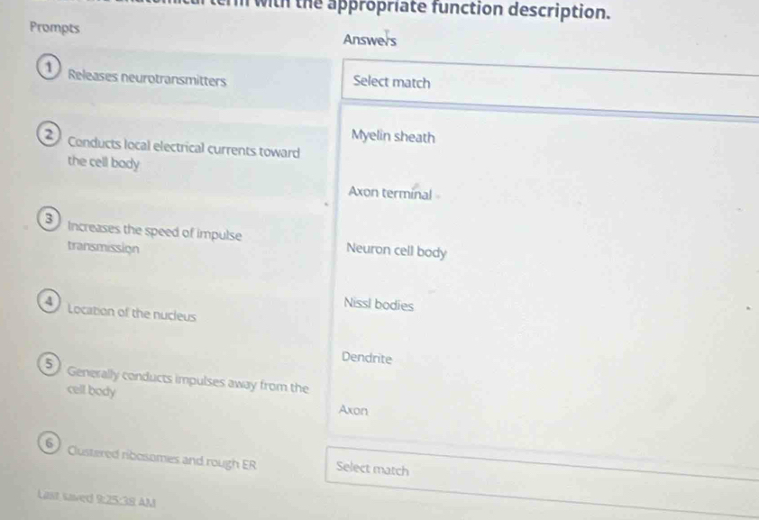 with the appropriate function description.
Prompts Answers
Releases neurotransmitters Select match
Myelin sheath
Conducts local electrical currents toward
the cell bady
Axon terminal 
increases the speed of impulse Neuron cell body
transmission
Nissl bodies
Location of the nucleus
Dendrite
5 Generally conducts impulses away from the
cell body Axon
clustered ribosomes and rough ER Select match
Last saved 9:25:38 AM