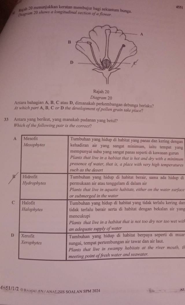 4551 
Rajah 20 menunjukkan keratan membujur bagi sekuntum bunga. 
Diagram 20 shows a longitudinal section of a flower. 
Antara bahagian A, B, C atau D, dimanakah perkembangan debunga berlaku? 
At which part A, B, C or D the development of pollen grain take place? 
33 Antara yang berikut, yang manakah padanan yang betul? 
Which of the following pair is the correct? 
gan 
ang 
n 
um 
ures 
p di 
face 
dan 
yang 
with 
uar 
h, th 
4551/1/2 ©RAMALAN/ ANALISIS SOALAN SPM 2024 
st