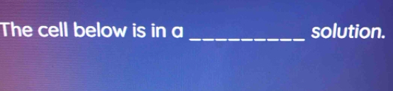 The cell below is in a solution.