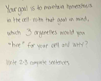 Your gaol is to mantain homerstass 
in the cell-with that goal in mind, 
which 3 organelles would you 
"hire " for your cell and wr? 
Wnte 2.3 complete seniences