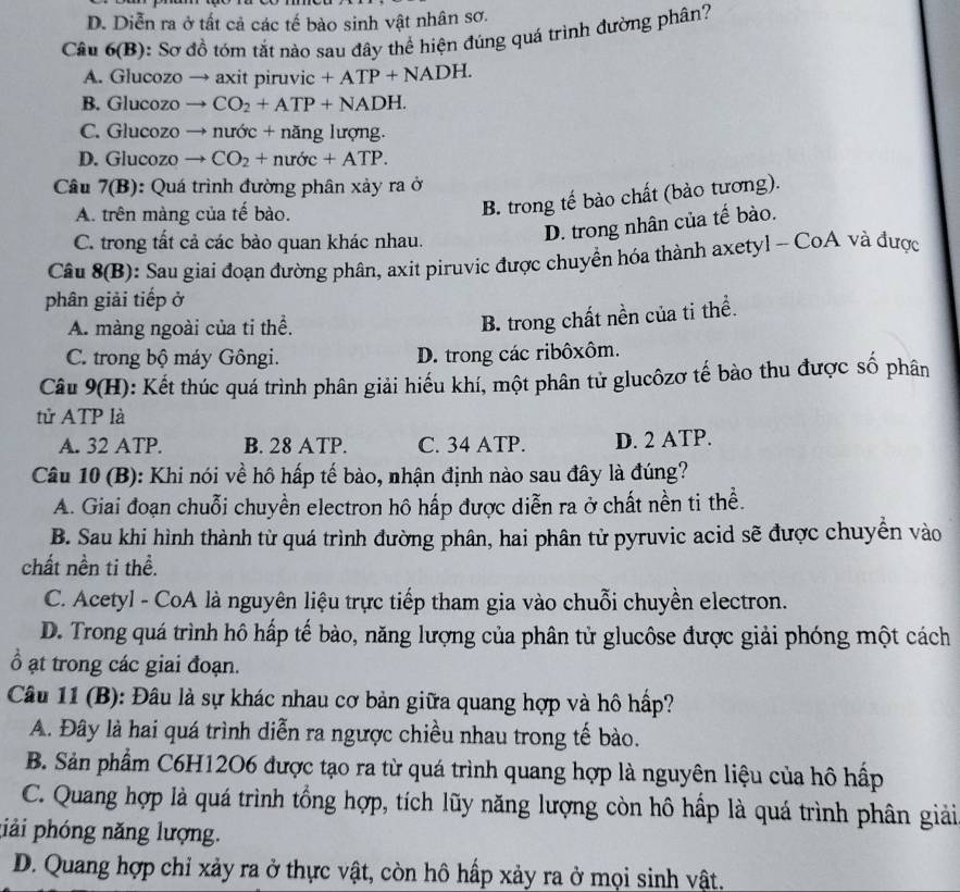 D. Diễn ra ở tất cả các tế bào sinh vật nhân sơ.
Câu 6(B) ): Sơ đồ tóm tắt nào sau đây thể hiện đúng quá trình đường phân?
A. Glucozo  →  xit pin uvic+ATP+NADH.
B. Glucozo L CO_2+ATP+NADH.
C. Glucozo nudc+ năng lượng.
D. Glucozo CO_2+nutr+ATP.
Câu 7(B): Quá trình đường phân xảy ra ở
A. trên màng của tế bào.
B. trong tế bào chất (bào tương).
C. trong tất cả các bào quan khác nhau.
D. trong nhân của tế bào.
Câu 8(B): Sau giai đoạn đường phân, axit piruvic được chuyển hóa thành axetyl -- CoA và được
phân giải tiếp ở
A. màng ngoài của ti thể.
B. trong chất nền của ti thể.
C. trong bộ máy Gôngi. D. trong các ribôxôm.
Câu 9(H): Kết thúc quá trình phân giải hiếu khí, một phân tử glucôzơ tế bào thu được số phân
tử ATP là
A. 32 ATP. B. 28 ATP. C. 34 ATP. D. 2 ATP.
Câu 10 (B): Khi nói về hô hấp tế bào, nhận định nào sau đây là đúng?
A. Giai đoạn chuỗi chuyền electron hô hấp được diễn ra ở chất nền ti thể.
B. Sau khi hình thành từ quá trình đường phân, hai phân tử pyruvic acid sẽ được chuyển vào
chất nền ti thể.
C. Acetyl - CoA là nguyên liệu trực tiếp tham gia vào chuỗi chuyền electron.
D. Trong quá trình hô hấp tế bào, năng lượng của phân tử glucôse được giải phóng một cách
ạt trong các giai đoạn.
Câu 11 (B): Đâu là sự khác nhau cơ bản giữa quang hợp và hô hấp?
A. Đây là hai quá trình diễn ra ngược chiều nhau trong tế bào.
B. Sản phẩm C6H12O6 được tạo ra từ quá trình quang hợp là nguyên liệu của hô hấp
C. Quang hợp là quá trình tổng hợp, tích lũy năng lượng còn hô hấp là quá trình phân giải
tiải phóng năng lượng.
D. Quang hợp chỉ xảy ra ở thực vật, còn hô hấp xảy ra ở mọi sinh vật.