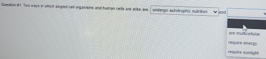 Question #1. Two ways in which singled cell organisms and human cells are alike are undergo aufotrophic nutrition and
are multicellular
require energy
require sunäght