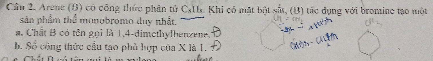 Arene (B) có công thức phân tử C₃H₈. Khi có mặt bột sắt, (B) tác dụng với bromine tạo một 
sản phầm thể monobromo duy nhất. 
a. Chất B có tên gọi là 1, 4 -dimethylbenzene. 
b. Số công thức cấu tạo phù hợp của X là 1. 
Chất Bcó