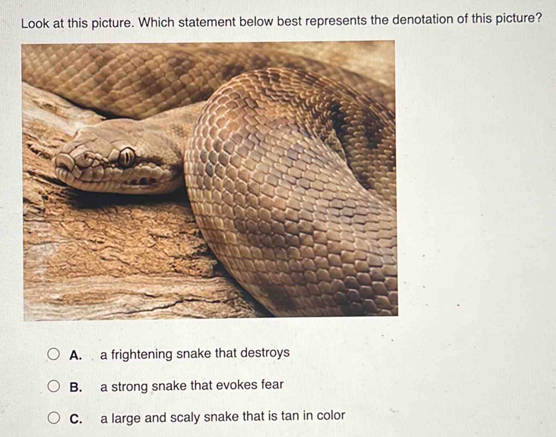 Solved: Look at this picture. Which statement below best represents the ...