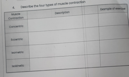 muscle contraction