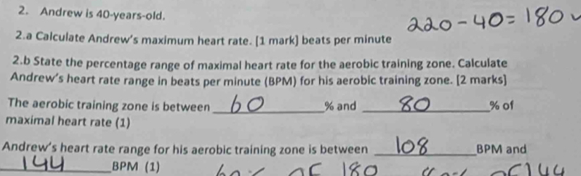 Andrew is 40-years-old. 
2.a Calculate Andrew’s maximum heart rate. [1 mark] beats per minute
2.b State the percentage range of maximal heart rate for the aerobic training zone. Calculate 
Andrew’s heart rate range in beats per minute (BPM) for his aerobic training zone. [2 marks] 
The aerobic training zone is between _ % and _ % of 
maximal heart rate (1) 
Andrew's heart rate range for his aerobic training zone is between _ BPM and 
_ BPM (1)