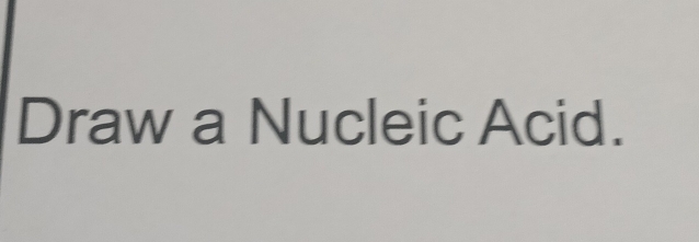 Draw a Nucleic Acid.