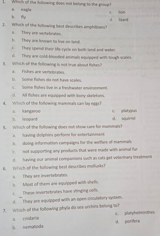 Which of the following does not belong to the group?
a. eagle c. lion
b. fly d. lizard
2. Which of the following best describes amphibians?
a. They are vertebrates.
b. They are known to live on land.
c. They spend their life cycle on both land and water.
d. They are cold-blooded animals equipped with tough scales.
3. Which of the following is not true about fishes?
a. Fishes are vertebrates.
b. Some fishes do not have scales.
c. Some fishes live in a freshwater environment.
d. All fishes are equipped with bony skeletons.
4. Which of the following mammals can lay eggs?
a. kangaroo c. platypus
b. leopard d. squirrel
5. Which of the following does not show care for mammals?
a. having dolphins perform for entertainment
b. doing information campaigns for the welfare of mammals
c. not supporting any products that were made with animal fur
d. having our animal companions such as cats get veterinary treatment
6. Which of the following best describes mollusks?
a. They are invertebrates.
b. Most of them are equipped with shells.
c. These invertebrates have stinging cells.
d. They are equipped with an open circulatory system.
7. Which of the following phyla do sea urchins belong to?
a. cnidaria c. platyhelminthes
d. porifera
b. nematoda