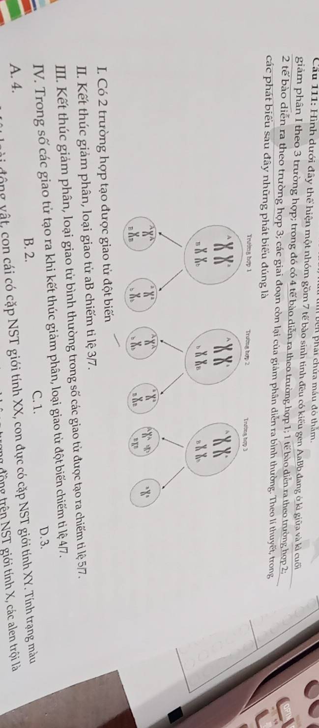 bên phái chứa máu đô thằm.
Cầu 111: Hình dưới đây thể hiện một nhóm gồm 7 tế bào sinh tinh đều có kiểu gen AaBb đang ở kì giữa và kì cuối
giảm phân I theo 3 trường hợp; trong đó có 4 tế bào diễn ra theo trường hợp 1; 1 tế bào diễn ra theo trường hợp 2 :
2 tế bào diễn ra theo trường hợp 3; các giai đoạn còn lại của giảm phân diễn ra bình thường. Theo lí thuyết, trong
các phát biểu sau đây những phát biểu đúng là
I. Có 2 trường hợp tạo được giao tử đột biến
II. Kết thúc giảm phân, loại giao tử aB chiếm tỉ lệ 3/7.
III. Kết thúc giảm phân, loại giao tử bình thường trong số các giao tử được tạo ra chiếm tỉ lệ 5/7.
IV. Trong số các giao tử tạo ra khi kết thúc giảm phân, loại giao tử đột biến chiếm ti lệ 4/7.
C. 1. D. 3.
B. 2.
vông vật, con cái có cặp NST giới tính XX, con đực có cặp NST giới tính XY. Tính trạng màu
A. 4.
l động trên NST giới tính X, các alen trội là