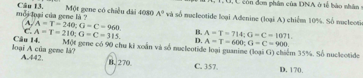 1, G, C còn đơn phân của DNA ở tế bào nhân :
Câu 13. Một gene có chiều dài 4080 A^0 và số nucleotide loại Adenine (loại A) chiếm 10%. Số nucleotic
mỗi loại của gene là ?
A,
C. A=T=240; G=C=960. 
Câu 14. A=T=210; G=C=315.
B. A=T=714; G=C=1071.
D. A=T=600; G=C=900. 
Một gene có 90 chu kì xoắn và số nucleotide loại guanine (loại G) chiếm 35%. Số nucleotide
loại A của gene là?
A. 442. B. 270. C. 357. D. 170.