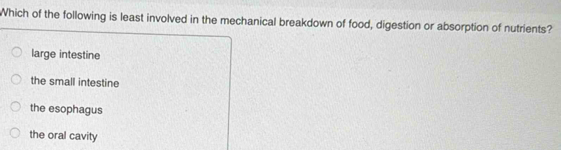 Which of the following is least involved in the mechanical breakdown of food, digestion or absorption of nutrients?
large intestine
the small intestine
the esophagus
the oral cavity