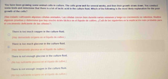You have been growing some animal cells in culture. The cells grow well for several weeks, and then their growth slows down. You conduct
some tests and determine that there is a lot of lactic acid in the culture fluid. Which of the following is the most likely explanation for the poor
growth of the cells?
(Has estado cultivando algunas células animales. Las células crecen bien durante varías semanas y luego su crecimiento se ralentiza. Realkza
algunas pruebas y determina que hay mucho ácido láctico en el líquido de cultivo. ¿Cuál de las siguientes es la explicación más probable para
el crecimiento deficiente de las células?)
There is too much oxygen in the culture fluid.
(Hay denasiado oxígeno en el líquido de cultivo.)
There is too much glucose in the culture fluid.
(Hay demasiada glucosa en el líquido de cultivo.)
There is not enough glucose in the culture fluid.
(No hay suficiente glucosa en el líquido de cultivo.)
There is not enough oxygen in the culture fluid.
(tllo hy suficiente arígeno en el líquido de cultivo)