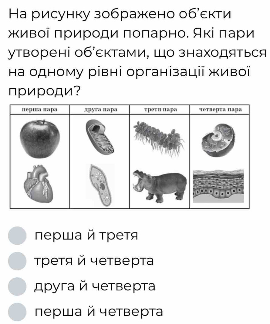 На рисунку зображено обекти
живοі πрироди πоπарно. Яκі πари
утворені обεктами, Шо знаходяться
Ηа одному рівні організації живої
природи?
лерша й τретя
τретя й четверта
дρуга й четверта
перша й четверта