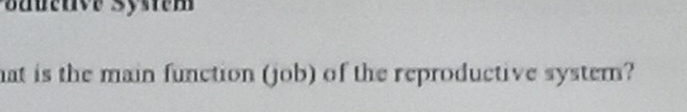 Sauetve System 
hat is the main function (job) of the reproductive system?