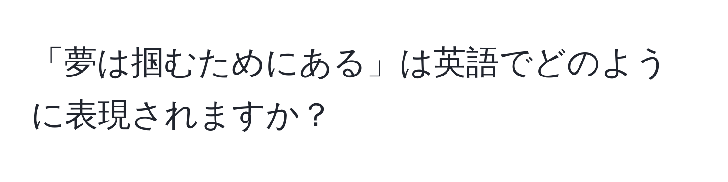 「夢は掴むためにある」は英語でどのように表現されますか？