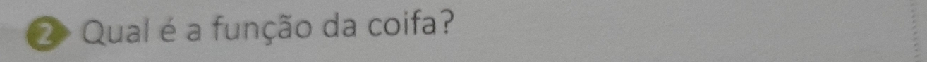 ② Qual é a função da coifa?