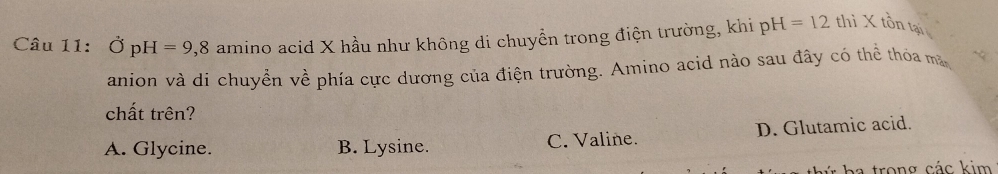 vector OpH=9,8 amino acid X hầu như không di chuyền trong điện trường, khi pH=12 thì X tồn tại
anion và di chuyển về phía cực dương của điện trường. Amino acid nào sau đây có thể thỏa mã
chất trên?
A. Glycine. B. Lysine. C. Valine. D. Glutamic acid.
v h a trong các kim