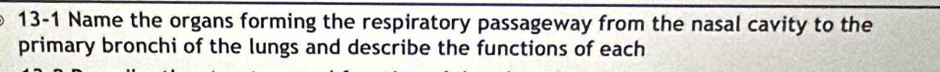 13-1 Name the organs forming the respiratory passageway from the nasal cavity to the 
primary bronchi of the lungs and describe the functions of each