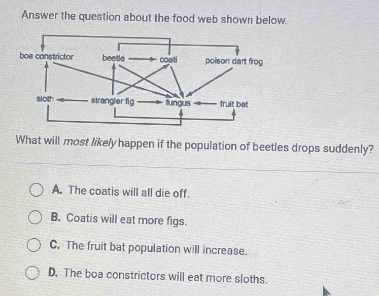 Answer the question about the food web shown below.
What will most likely happen if the population of beetles drops suddenly?
A. The coatis will all die off.
B. Coatis will eat more figs.
C. The fruit bat population will increase.
D. The boa constrictors will eat more sloths.