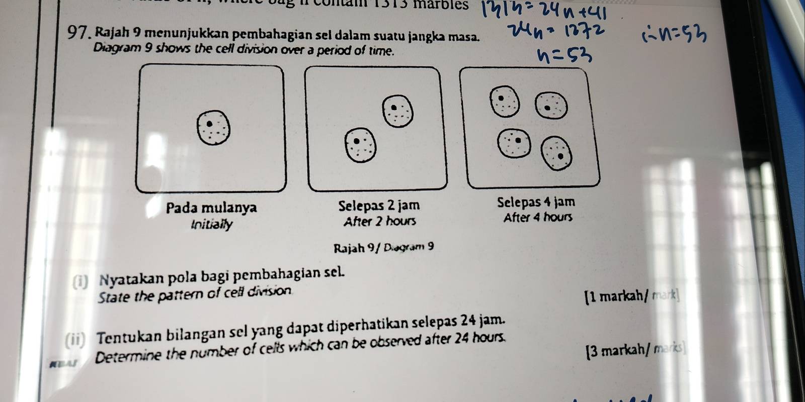 conam 1313 marbles 
97. Rajah 9 menunjukkan pembahagian sel dalam suatu jangka masa. 
Diagram 9 shows the cell division over a period of time. 
Pada mulanya Selepas 2 jam Selepas 4 jam
Initially After 2 hours
After 4 hours
Rajah 9/ Diagram 9 
(i) Nyatakan pola bagi pembahagian sel. 
State the pattern of cell division 
1 markah [mark] 
(ii) Tentukan bilangan sel yang dapat diperhatikan selepas 24 jam. 
Determine the number of cells which can be observed after 24 hours. 
[3 markah/ ma:ks]