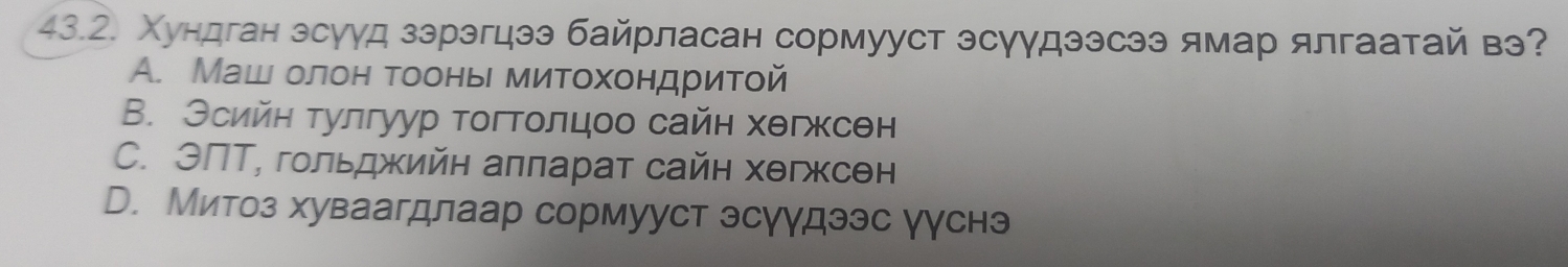 Χундган зсууд зэрэгцээ байрласан сормууст эсγγдээсээ ямар ялгаатай вэ?
A. Маш олон тоонь митохондритой
B. Зсийн тулгуур тогтолцоо сайн хθгжсен
C. ЭΠТ, гольджийн аπларат сайн хθгксен
D. Митоз хуваагдлаар сормууст эсγγдээс γγснэ