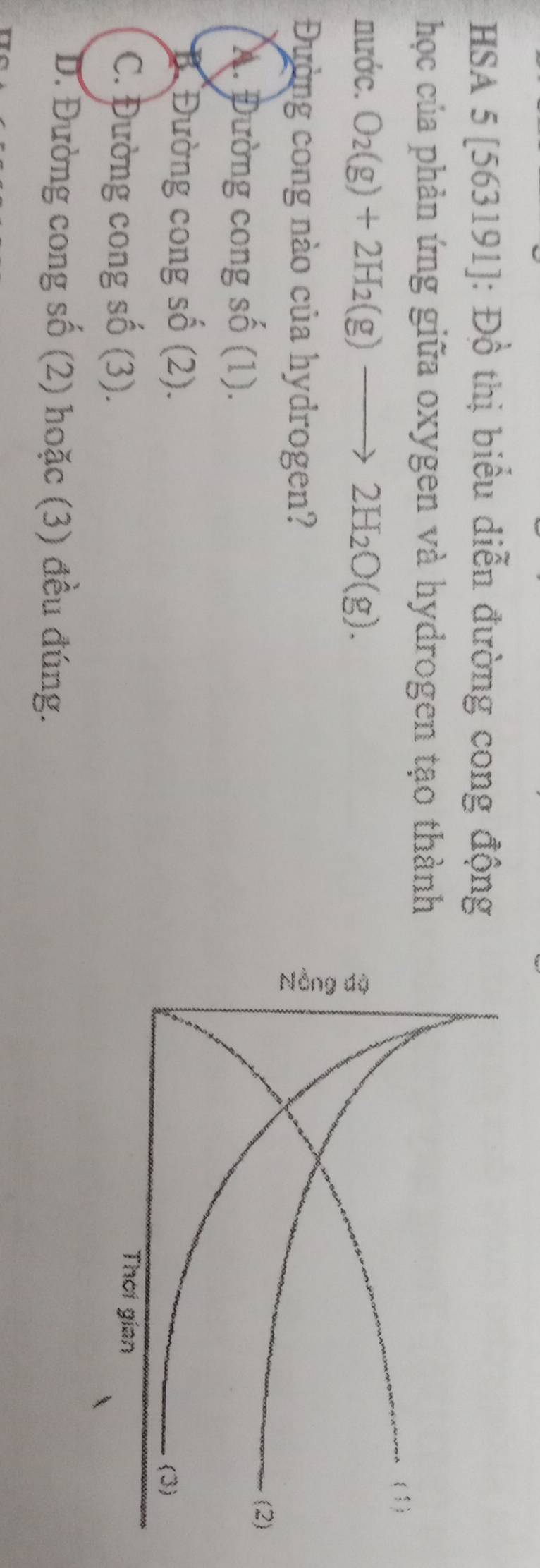 HSA 5 [563191]: Đồ thị biểu diễn đường cong động
học của phản ứng giữa oxygen và hydrogen tạo thành
nước. O_2(g)+2H_2(g)to 2H_2O(g). 
Đường cong nào của hydrogen?
A. Đường cong số (1).
B. Đường cong shat o (2).
C. Đường cong số (3).
D. Đường cong số (2) hoặc (3) đều đúng.