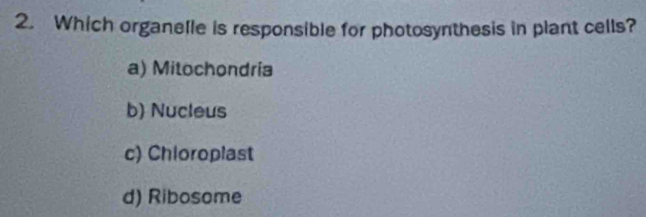 Which organelle is responsible for photosynthesis in plant cells?
a) Mitochondria
b) Nucleus
c) Chioroplast
d) Ribosome