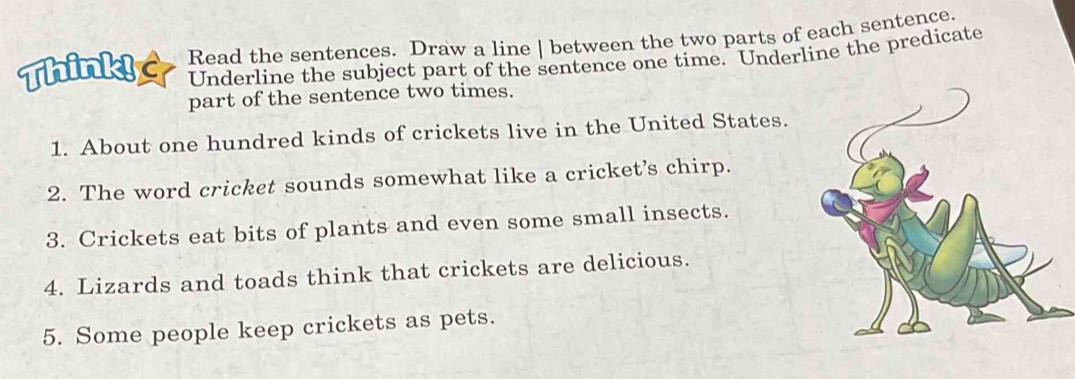 Think! Read the sentences. Draw a line | between the two parts of each sentence. 
Underline the subject part of the sentence one time. Underline the predicate 
part of the sentence two times. 
1. About one hundred kinds of crickets live in the United States. 
2. The word cricket sounds somewhat like a cricket’s chirp. 
3. Crickets eat bits of plants and even some small insects. 
4. Lizards and toads think that crickets are delicious. 
5. Some people keep crickets as pets.