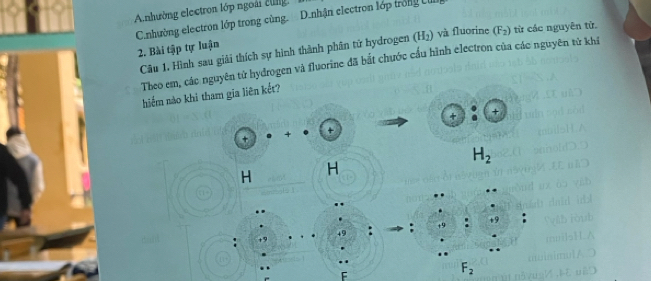 Anhường electron lớp ngoài cng.
C.nhường electron lớp trong cùng. D.nhận electron lớp trống cử
2. Bài tập tự luận và fluorine (F_2) từ các nguyên từ.
Câu 1, Hình sau giải thích sự hình thành phân tử hydrogen (H_2)
Theo em, các nguyên tử hydrogen và fluorine đã bắt chước cầu hình electron của các nguyên từ khi
hiếm nào khi tham gia liên kết?
+ +
+
+
H_2
H H
49 :
F
F_2