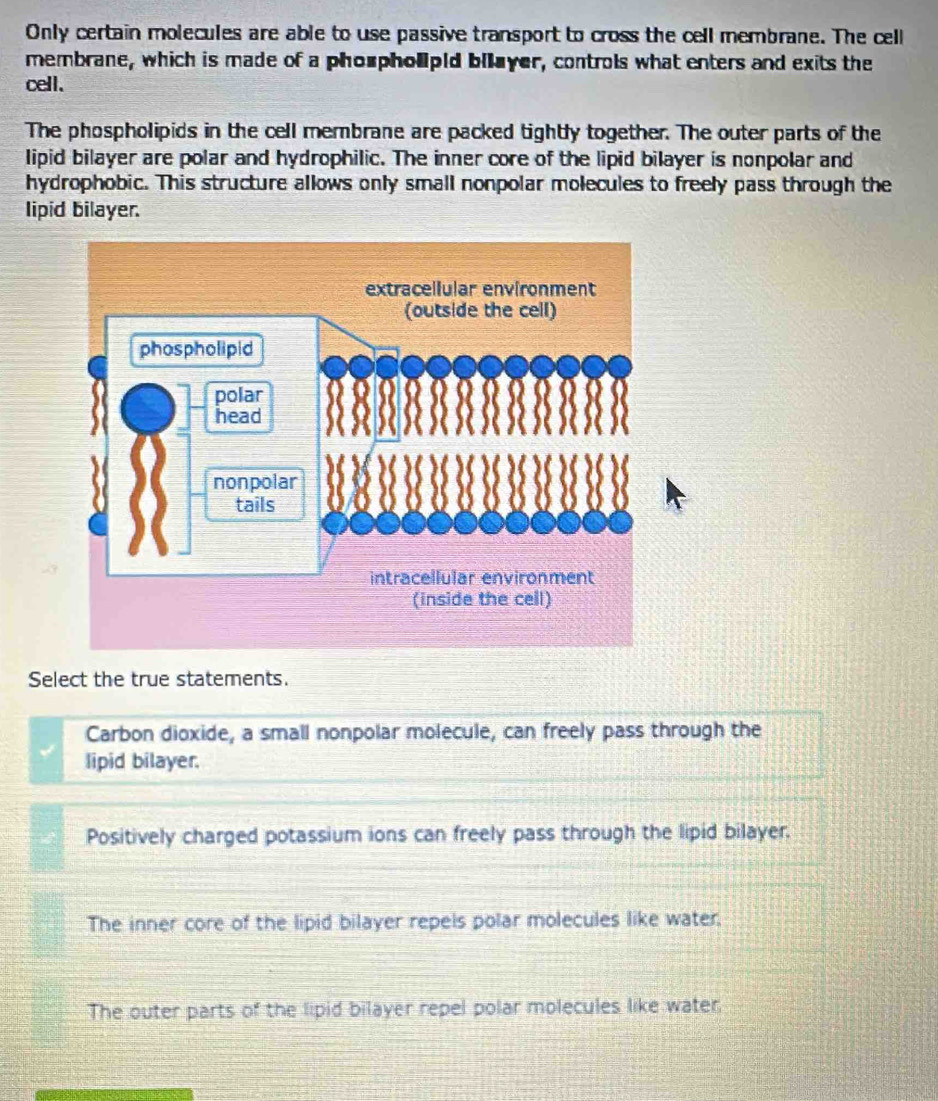 Only certain molecules are able to use passive transport to cross the cell membrane. The cell
membrane, which is made of a phoupholpid blayer, controls what enters and exits the
cell.
The phospholipids in the cell membrane are packed tightly together. The outer parts of the
lipid bilayer are polar and hydrophilic. The inner core of the lipid bilayer is nonpolar and
hydrophobic. This structure allows only small nonpolar molecules to freely pass through the
lipid bilayer.
Select the true statements.
Carbon dioxide, a small nonpolar molecule, can freely pass through the
lipid bilayer.
Positively charged potassium ions can freely pass through the lipid bilayer.
The inner core of the lipid bilayer repels polar molecules like water,
The outer parts of the lipid bilayer repel polar molecules like water,