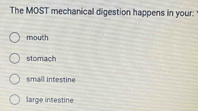 The MOST mechanical digestion happens in your:
mouth
stomach
small intestine
large intestine