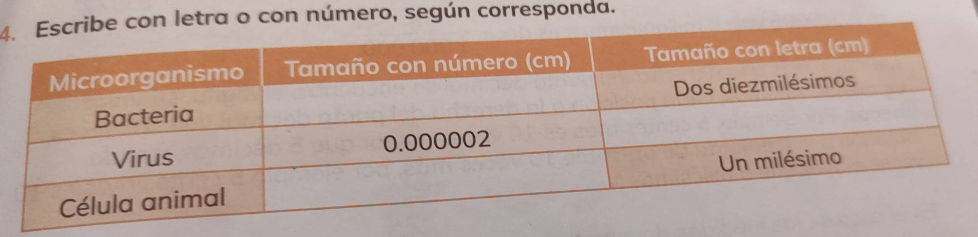 4on letra o con número, según corresponda.