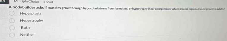 A bodybuilder asks if muscles grow through hyperplasia (new fber formation) or hypertrophy (fber enlargement). Which process explains muscle growth in adults?
Hyperplasia
Hypertrophy
Both
Neither