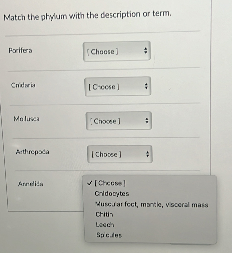 Match the phylum with the description or term.
Porifera
[ Choose ]
Cnidaria
[ Choose ]
Mollusca [ Choose ]
Arthropoda
[ Choose ]
Annelida [ Choose ]
Cnidocytes
Muscular foot, mantle, visceral mass
Chitin
Leech
Spicules