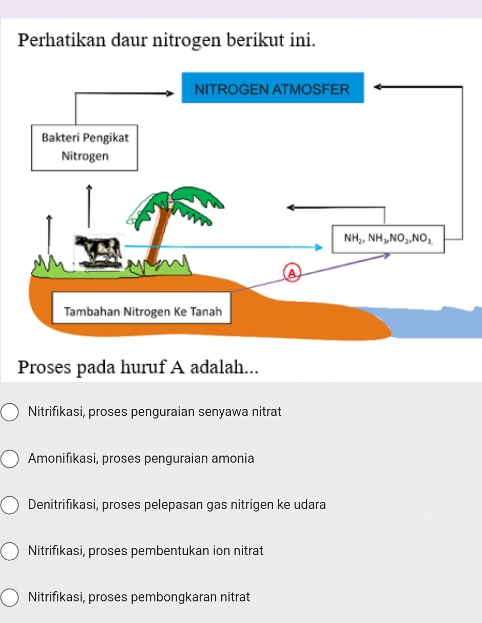 Perhatikan daur nitrogen berikut ini.
Proses pada huruf A adalah...
Nitrifıkasi, proses penguraian senyawa nitrat
Amonifıkasi, proses penguraian amonia
Denitrifikasi, proses pelepasan gas nitrigen ke udara
Nitrifıkasi, proses pembentukan ion nitrat
Nitrifıkasi, proses pembongkaran nitrat