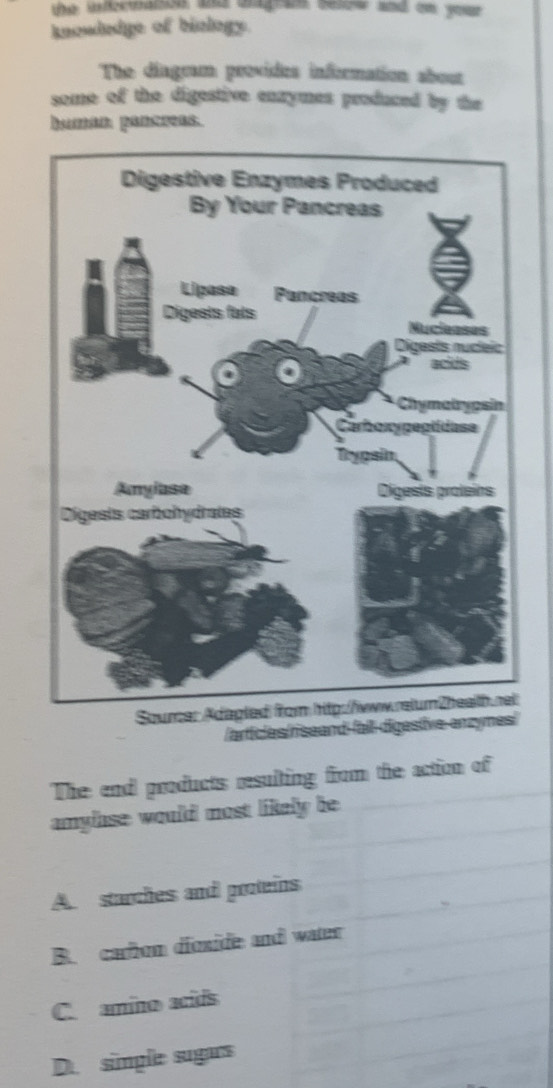 ieance a aagad ene and cm yo 
knoudedge of biology.
The diagram provides information about
some of the digestive enzymes produced by the
humán. pancreas.
/articles/rseand-fal
The end products resulting from the action of
amylase would most likely be
A. starches and proteins
B. carbom dioside and water
C. amino acids
D. simple sugars