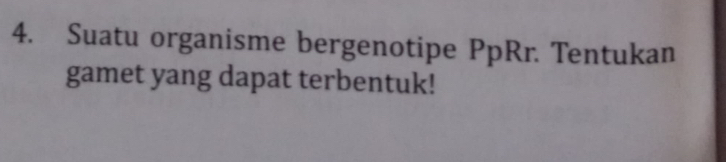 Suatu organisme bergenotipe PpRr. Tentukan 
gamet yang dapat terbentuk!