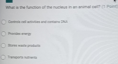 What is the function of the nucleus in an animal cell? 1 Poin
Controls cell activities and contains DNA
Provides energy
Stores waste products
Transports nutrients