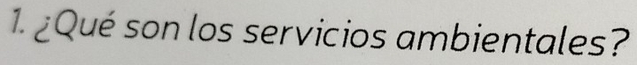 ¿Qué son los servicios ambientales?