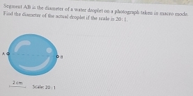 Segment AB is the diameter of a water droplet on a photograph takew in macro mode. 
Find the diameter of the actual droplet if the scale is 20:1, 
A Q
2cm Scale: 20:1