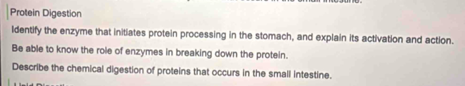 Protein Digestion 
Identify the enzyme that initiates protein processing in the stomach, and explain its activation and action. 
Be able to know the role of enzymes in breaking down the protein. 
Describe the chemical digestion of proteins that occurs in the small intestine.