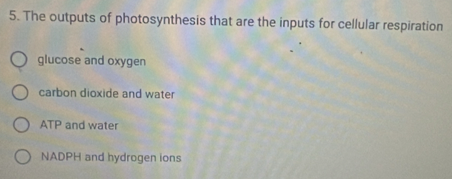 The outputs of photosynthesis that are the inputs for cellular respiration
glucose and oxygen
carbon dioxide and water
ATP and water
NADPH and hydrogen ions