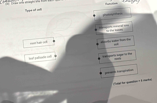 (iii) Draw one straight line from each
Function
Type of cell
photosynthesis
transports mineral ions
to the leaves
root hair cell
absorbs water from the
soil
leaf palisade cell
transports sugar to the
roots
prevents transpiration
(Total for question =5 marks)