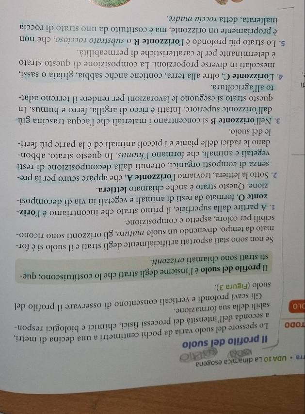 rra • UDA10 La dinamica esogena
Il profilo del suolo
TODO Lo spessore del suolo varia da pochi centimetri a una decina di metri,
a seconda dell’intensità dei processi fisici, chimici e biologici respon-
DLO sabili della sua formazione.
Gli scavi profondi e verticali consentono di osservare il profilo del
suolo (Figura 3).
Il profilo del suolo è l’insieme degli strati che lo costituiscono; que-
sti strati sono chiamati orizzonti.
Se non sono stati asportati artificialmente degli strati e il suolo si è for-
mato da tempo, divenendo un suolo maturo, gli orizzonti sono ricono-
scibili per colore, aspetto e composizione.
1. A partire dalla superficie, il primo strato che incontriamo è l'oriz-
zonte O, formato da resti di animali e vegetali in via di decomposi-
zione. Questo strato è anche chiamato lettiera.
2. Sotto la lettiera, troviamo l’orizzonte A, che appare scuro per la pre-
senza di composti organici, ottenuti dalla decomposizione di resti
vegetali e animali, che formano l’humus. In questo strato, abbon-
dano le radici delle piante e i piccoli animali ed è la parte più ferti-
le del suolo.
3. Nell’orizzonte B si concentrano i materiali che l’acqua trascina giù
dall’orizzonte superiore. Infatti è ricco di argilla, ferro e humus. In
questo strato si eseguono le lavorazioni per rendere il terreno adat-
di to all’agricoltura.
4. Lorizzonte C, oltre alla terra, contiene anche sabbia, ghiaia o sassi,
mescolati in diverse proporzioni. La composizione di questo strato
è determinante per le caratteristiche di permeabilità.
5. Lo strato più profondo è l'orizzonte R o substrato roccioso, che non
è propriamente un orizzonte, ma è costituito da uno strato di roccia
inalterata, detta roccia madre.